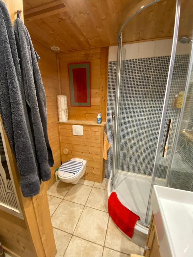 Chalet Les Chouettes Thônes Екстериор снимка