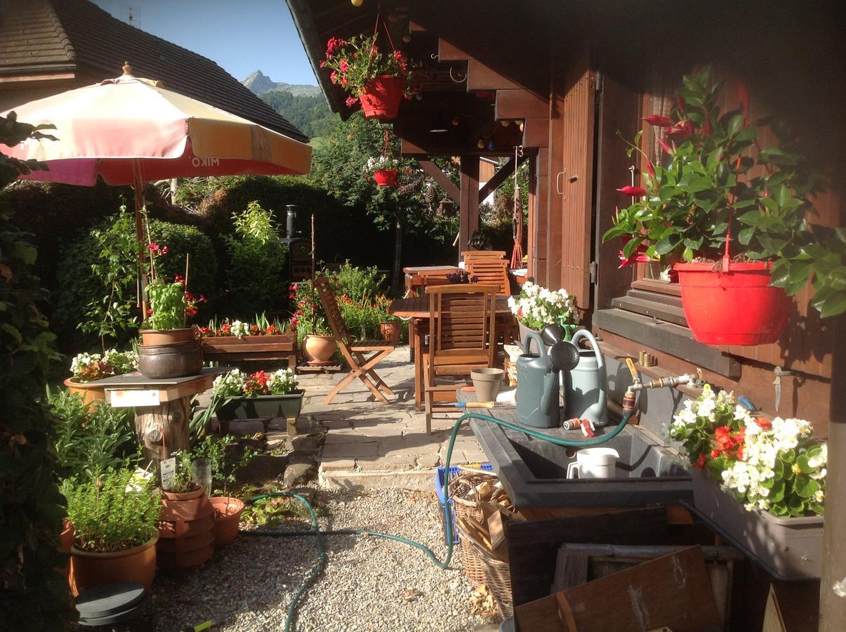 Chalet Les Chouettes Thônes Екстериор снимка