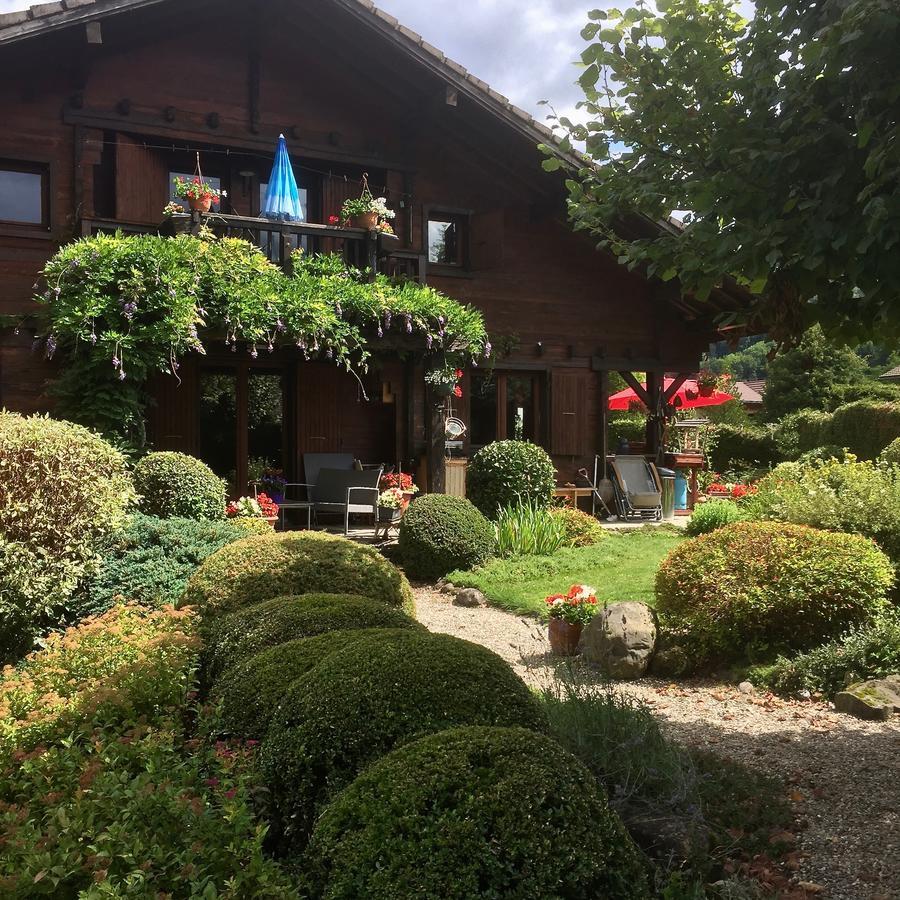 Chalet Les Chouettes Thônes Екстериор снимка